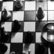 echecs