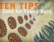 Ten tips