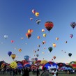 Champ de montgolfières
